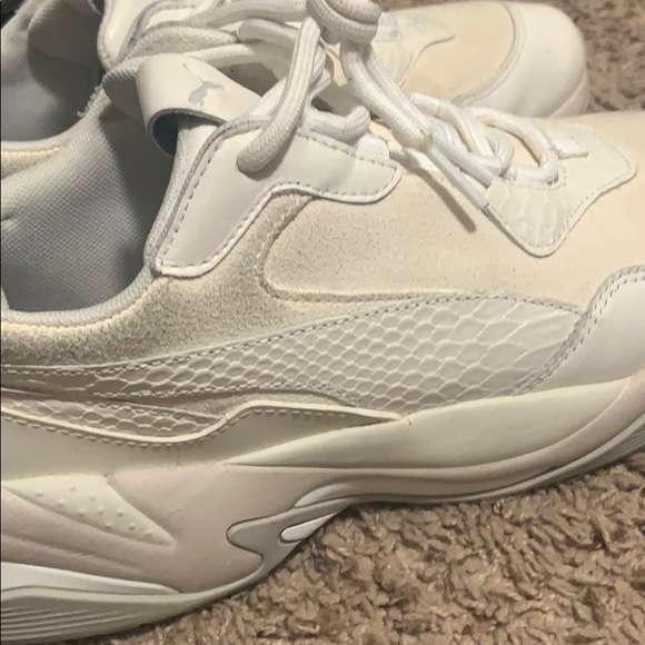 Pumas - Picture 10 of 12